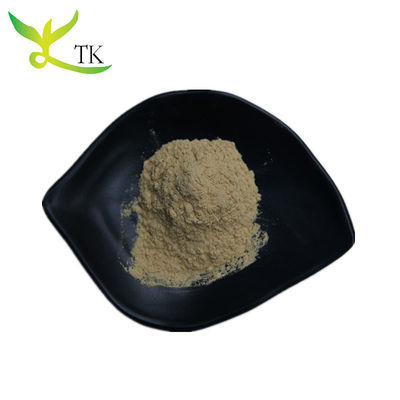 Natural Ginseng Plant Extract Powder 10%-80% Ginsenoside Powder Panax Ginseng Root Extract Powder