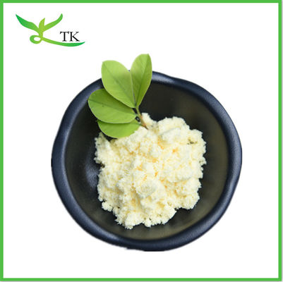 Sophora Japonica Extract powder Quercetin Powder for Supplement Quercetin Powder
