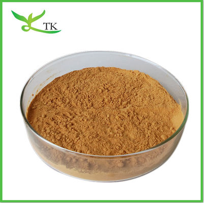 High quality Mullein Flower Extract/10:1 Mullein Extract Powder