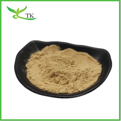 Bulk Tongkat Ali Root Extract Powder 200:1 Tongkat Ali Extract