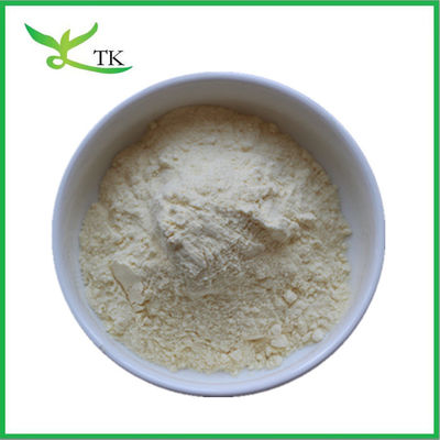 Pure Natural Food Grade White Kidney Bean Extract Powder Phaseolin For Weight Loss