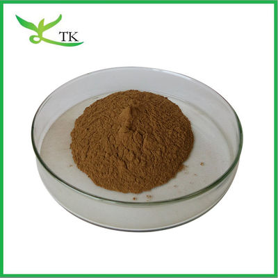Wholesale Best Quality Bulk Cassia Seed Extract Powder Anthraquinone In Stock