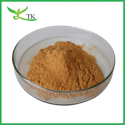 Wholesale Price Natural Astragalus Root Extract Powder Chinese Herbal Extract