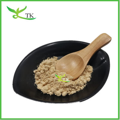 Plant Extract Solanum Nigrum Extract Powder Health Care Products