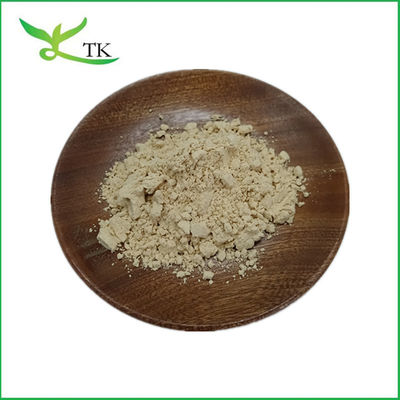 Wholesale Price Natural Food Grade Psyllium Husk Powder Psyllium Husk Extract Powder