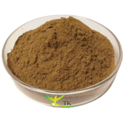 Wholesale Price Plant Extract Cissus Quadrangularis Extract Powder 4:1 10:1 50:1