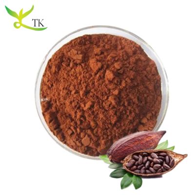 Wholesale Cocoa Powder Alkalized High Quality Alkalized Cocoa Powder Supplier