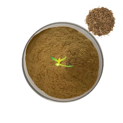 Wholesale Price Natural Spices Extract Carum Carvi Caraway Seeds Extract Caraway Seed Powder