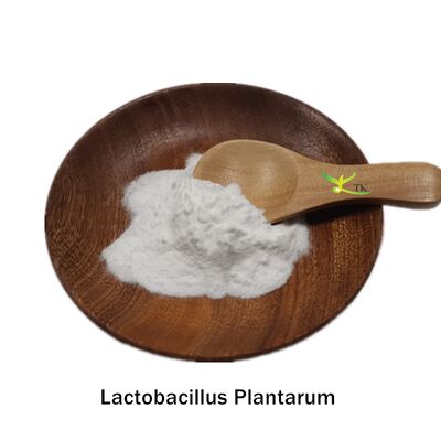 Best Price Freeze-dried Lactobacillus Plantarum Powder Probiotics Powder