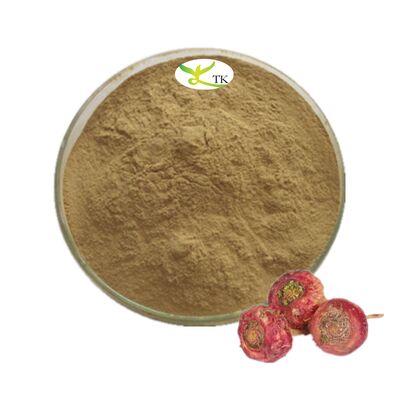 100% Natural Food Grade 4:1 10:1 Red Maca Roots Extract Powder For Woman