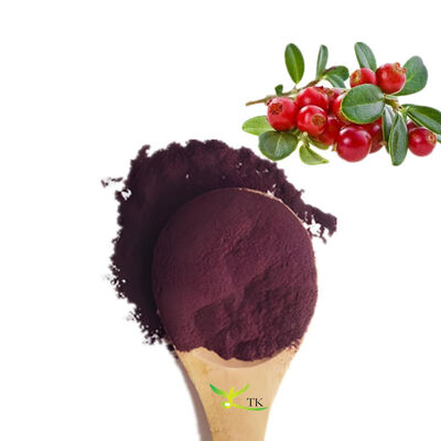 100% Natural Cranberry Extract 25% Proanthocyanidins High Quality Proanthocyanidins Powder Price