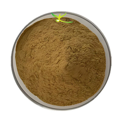 Factory Supply Natural Healthcare Supplement Ingredient Artemisia Capillaris Extract Powder