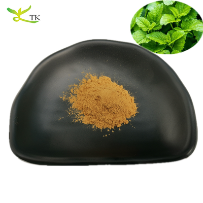 Factory Supply Natural Herbal Supplement Ingredient Lemon Balm Extract Powder