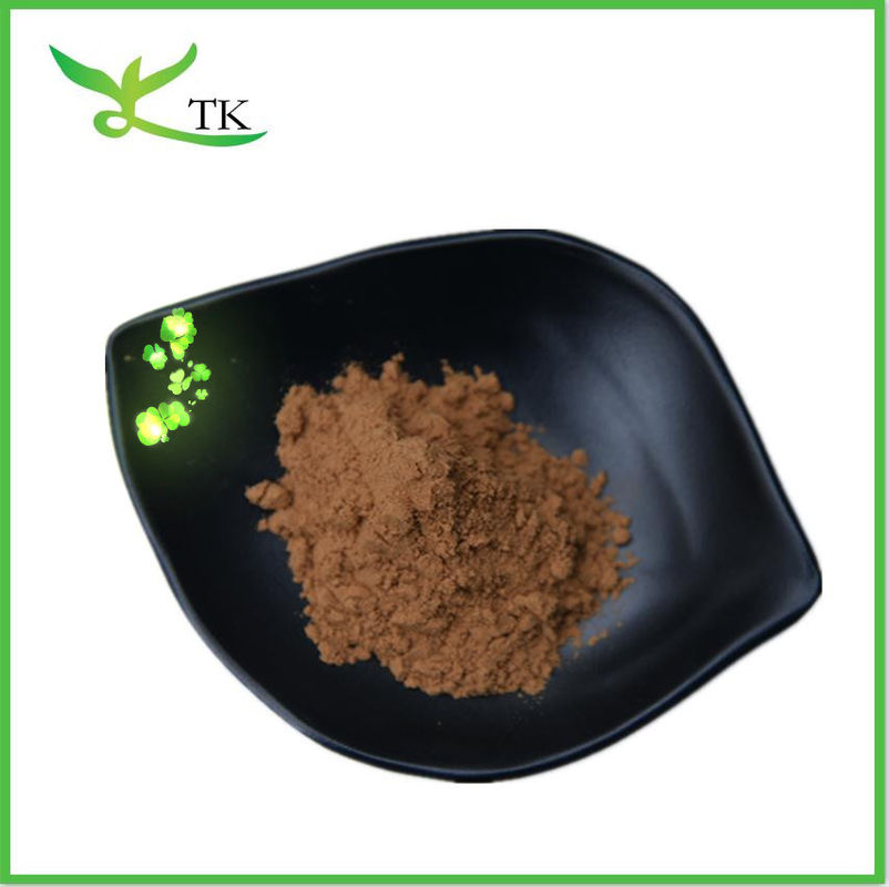 Plant Cordyceps CS-4 / Cordyceps Militaris Extract / Cordyceps Sinensis Extract Powder