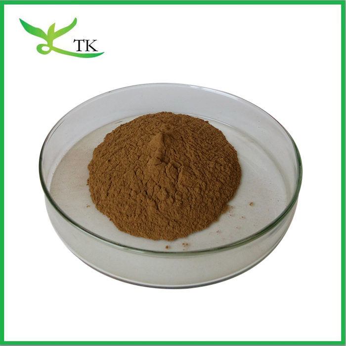 Wholesale Best Quality Bulk Cassia Seed Extract Powder Anthraquinone In Stock