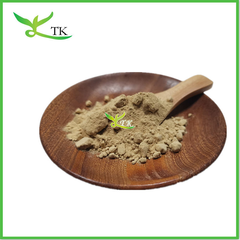 Manufacturer Supply Plant Selaginella Tamariscina Extract Powder Water Soluble