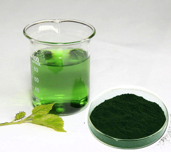 Manufacturer Wholesale Price Natural Mulberry Extract Pure Chlorophyll Powder bulk