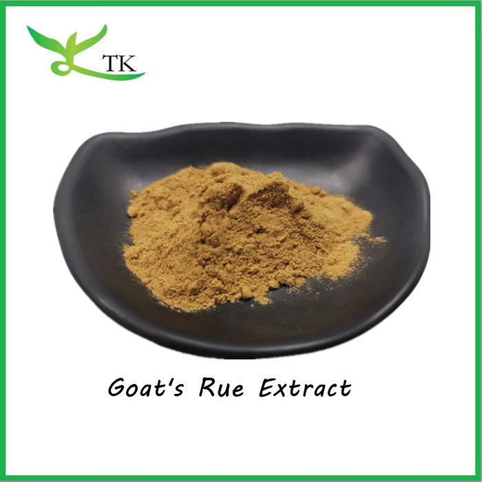 Natural Goat's Rue Extract Powder 10:1 Galega Officinalis Extract Powder Price
