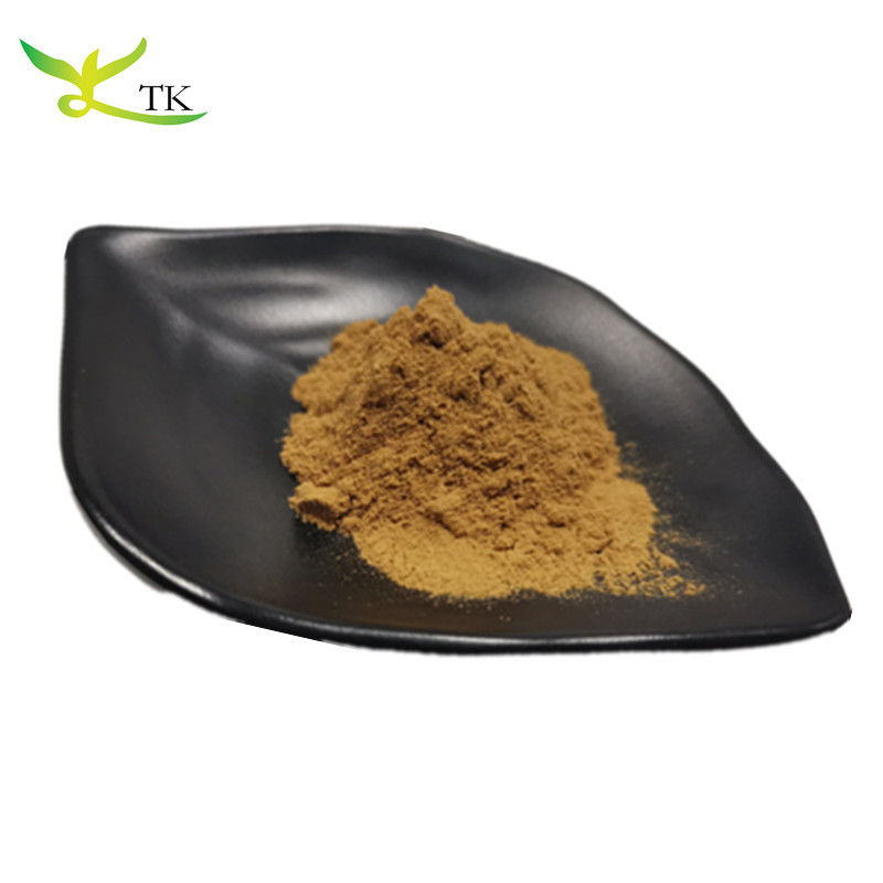Natural Plant Extract Sapindus Mukorossi Extract Soapberry Fruit Extract Powder