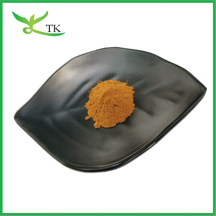Natural Plant Extract Prunella Vulgaris Extract Self-heal / Heal-all Extract Powder For Herbal Tea