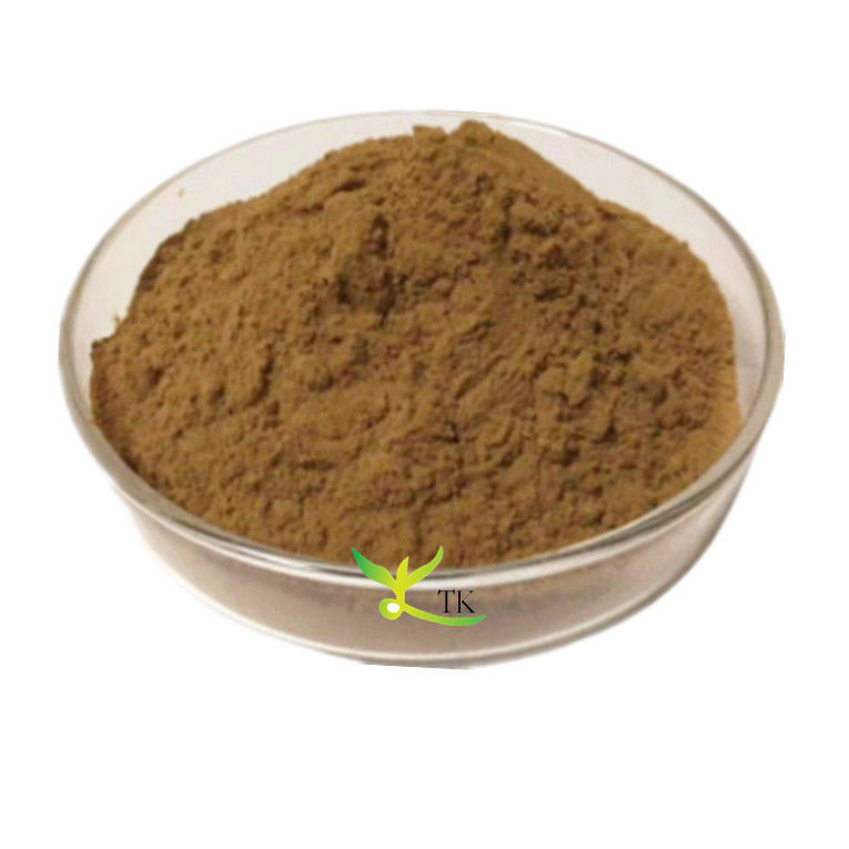 Natural Herbal Supplement 10:1 20:1 Black Cohosh Extract Powder Capsules