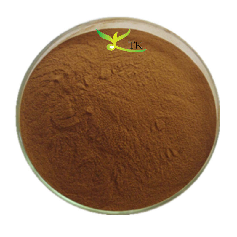 High Quality 10:1 Yerba Mate Extract Powder Roasted Yerba Mate Tea Extract