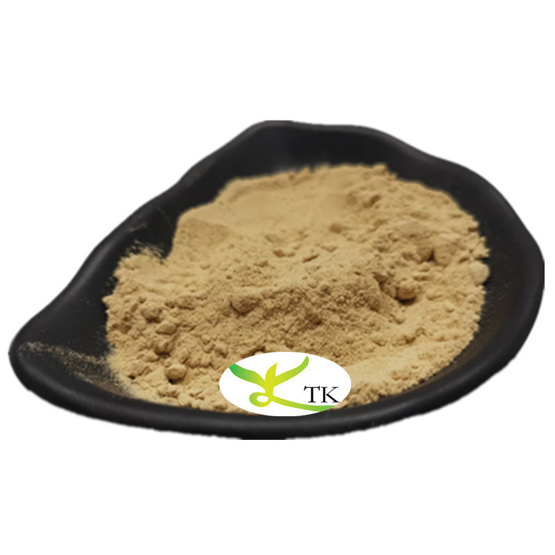 Natural Healthcare Supplement American Ginsenosides 80% American Ginseng Extract Powder