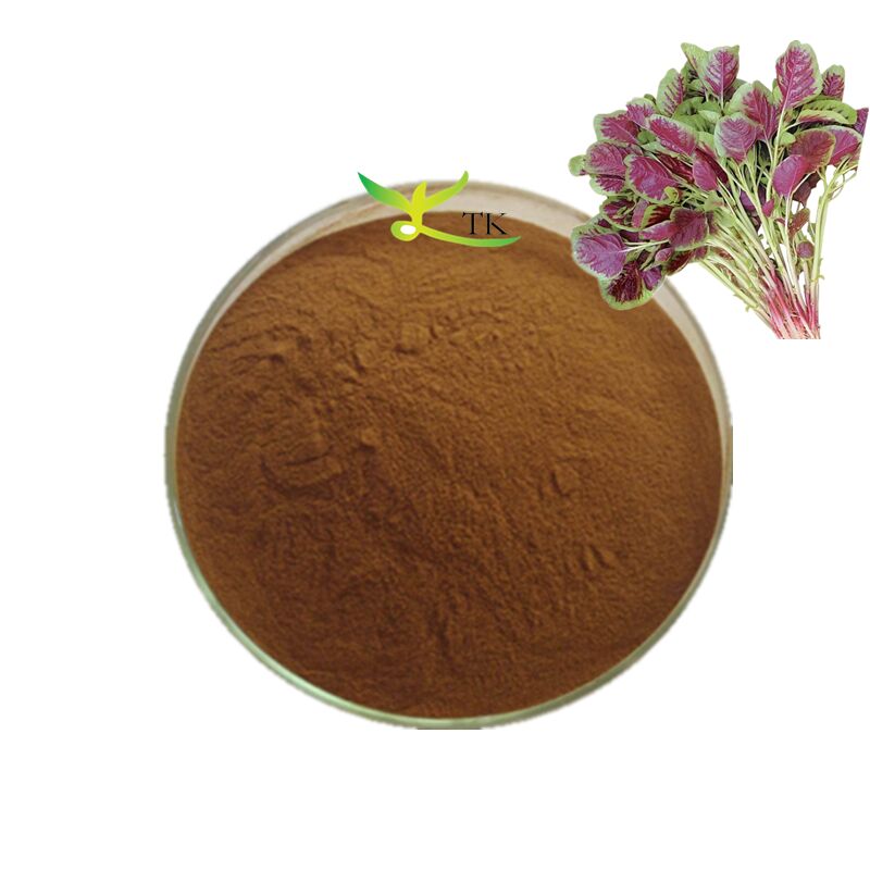 100% Natural Food Grade Water Soluble Red Spinach Extract Powder Red Spinach Powder