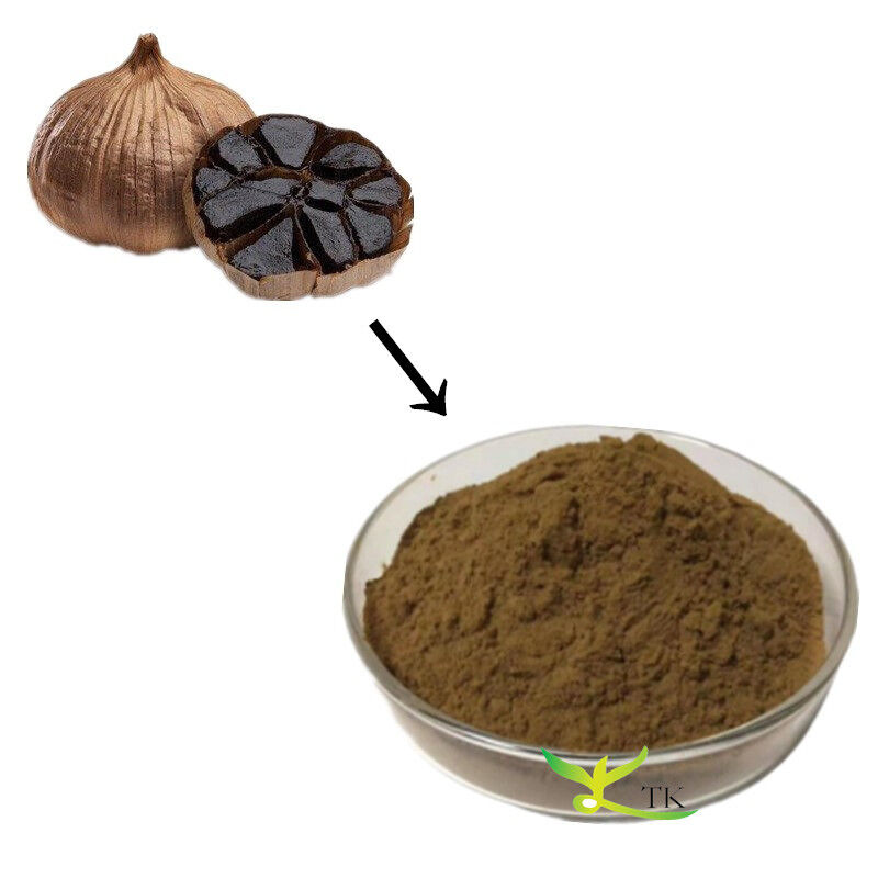 Supply Natural Fermented Black Garlic Extract Powder SAC S-allyl-l-cysteine 0.1% 1% SAC Powder Price
