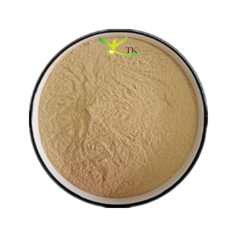 Wholesale Price 100% Natural White Willow Bark Extract 50% Salicin CAS 138-52-3