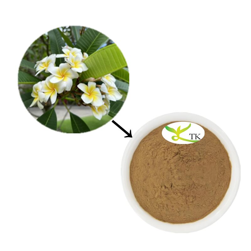 Natural Plant Extract Powder Plumeria Extract Powder Frangipani Flower Extract