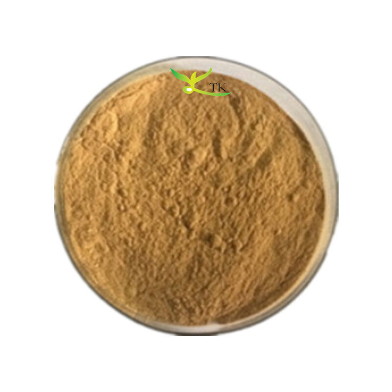 High Quality 98% Evodiamine Evodia Rutaecarpa Extract Powder Wu Zhu Yu Extract Powder