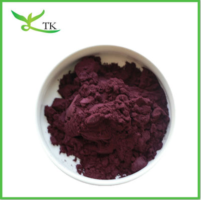 Aditivos alimenticios Extrato de frutos secos de Acai en polvo