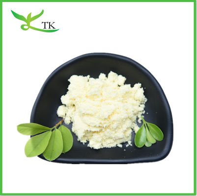 Extracto vegetal en polvo Gingerol Raíz de jengibre en polvo Jengibre en polvo para el cuidado de la salud