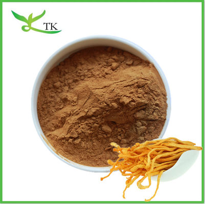 Extracto de hongo natural en polvo Cordyceps Militaris Extracto en polvo Polisacárido Cordycepina