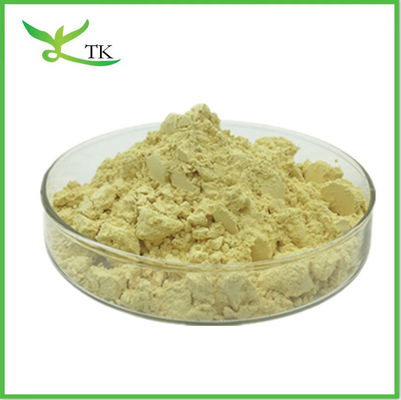 Extracto de raíz de planta de kava en polvo Kavalactona 10% 30% Extracto de metístico de pipa de kava