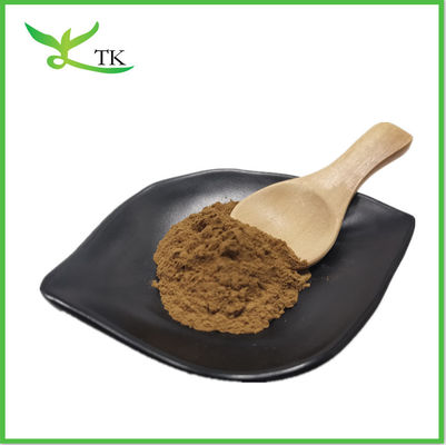 Conchas de hongos naturales Lingzhi Ganoderma Lucidum Reishi espora en polvo