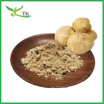 Suplemento para el cuidado de la salud Hericium erinaceus en polvo natural puro