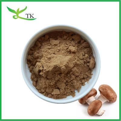Extracto de hongo 100% natural puro en polvo Extracto de hongo Shiitake en polvo