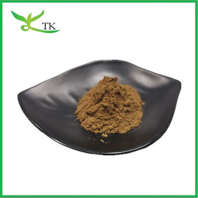 Precio mayorista Extracto de semilla de fenogreco natural puro en polvo Saponina 50% en stock
