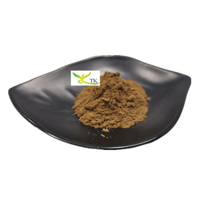 Polisacárido de extracto de hongo natural 20% de extracto de hongo Chaga en polvo