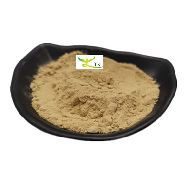 Mejor precio Proteína de semillas de calabaza en polvo de calidad alimentaria 80% extracto de semillas de calabaza en polvo