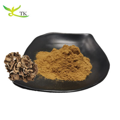 Compras al por mayor de suplementos de hongos 100% naturales Grifola Frondosa extracto en polvo