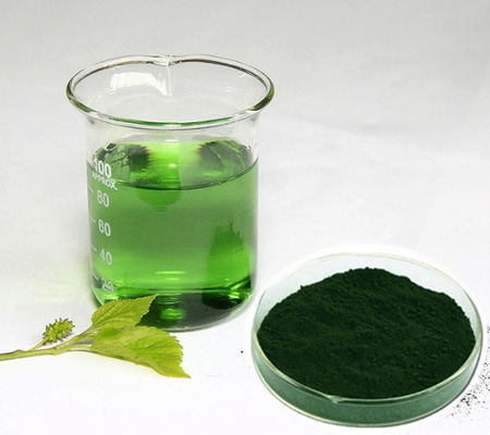 Precio al por mayor del fabricante Extracto de morera natural de clorofila pura en polvo a granel