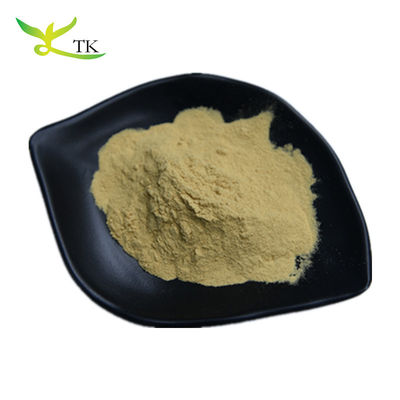 Extracto de hoja de olivo en polvo de fábrica ISO Ácido oleanólico Ácido maslínico Oleuropeína Hidroxitirosol