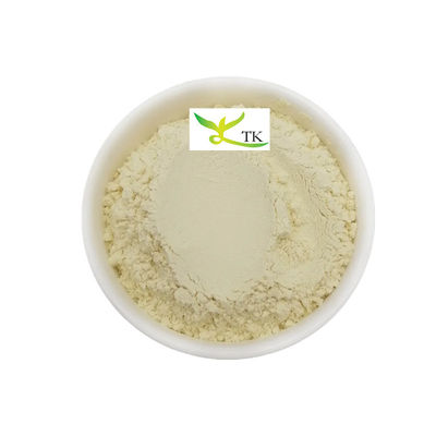 Extracto natural de plantas Hojas de mango Extracto en polvo Mangiferina 95% CAS 4773-96-0