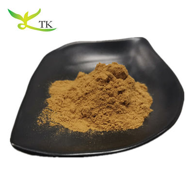 Extracto de yerba mate al por mayor Extracto de té mate de Paraguay natural