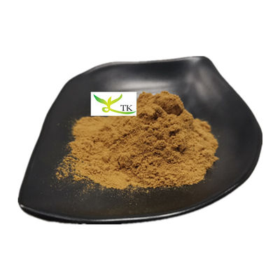 Extracto de hongo 100% natural de Osyter en polvo Extracto de Pleurotus Ostreatus