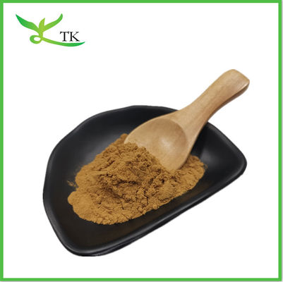 Extracto de Cistanche Tubulosa en polvo 50% equinacosida + 10% verbascosida