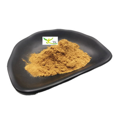 Astragalosida IV en polvo de Astragalus membranaceus natural